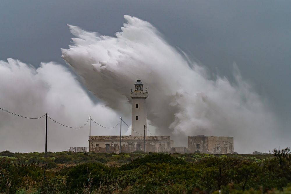 Photograph by Massimo Tamajo