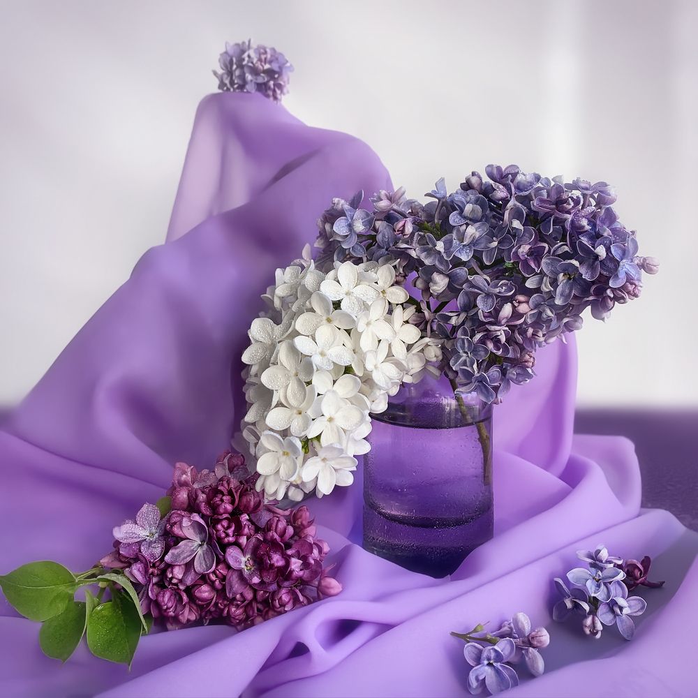 Photograph by Людмила Ефремова