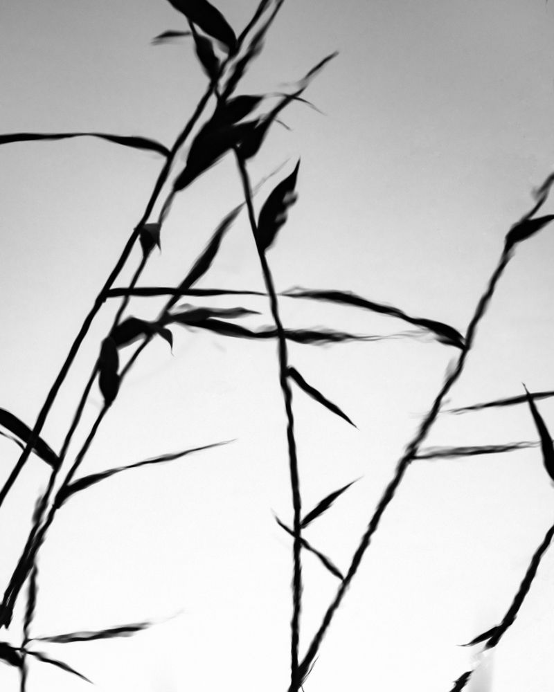 Photograph by Юлия Золотухина