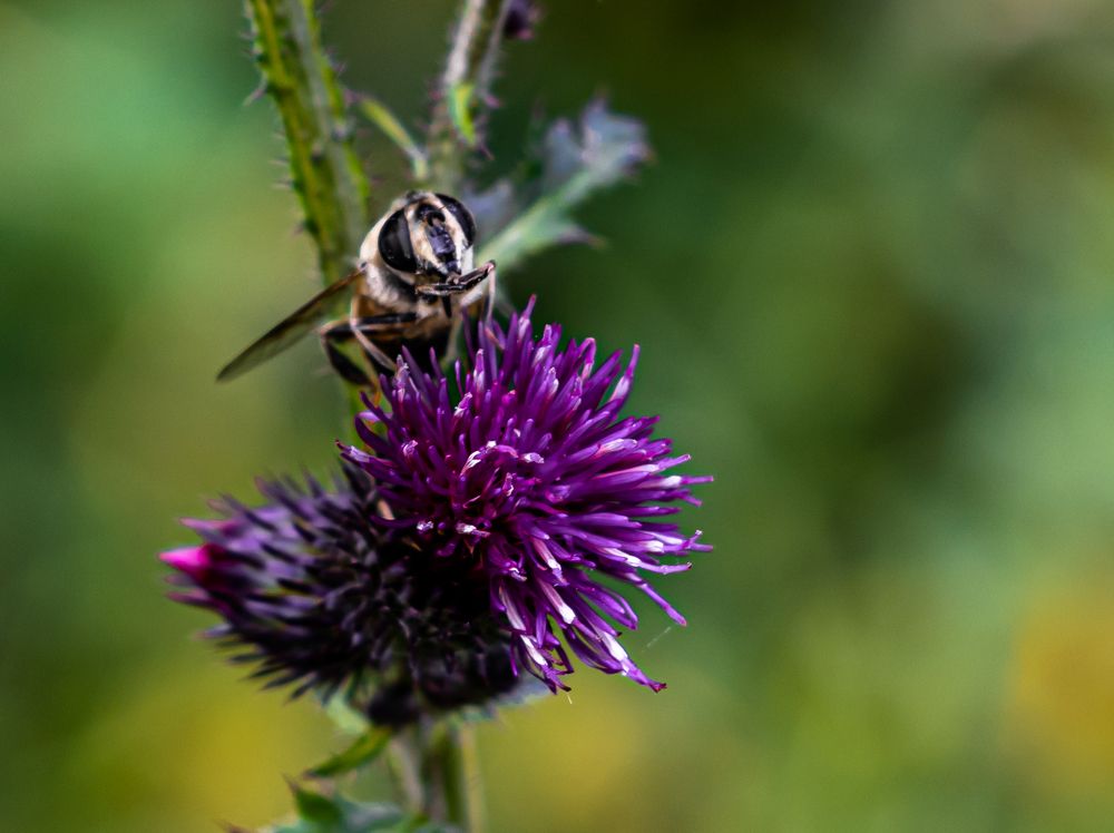 Photograph by Сергей Аникушин