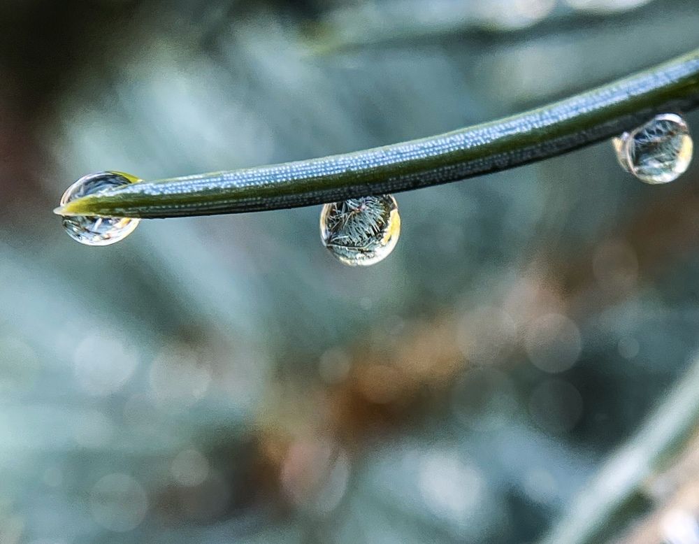 Фотография автора Рамзия Хисамутдинова