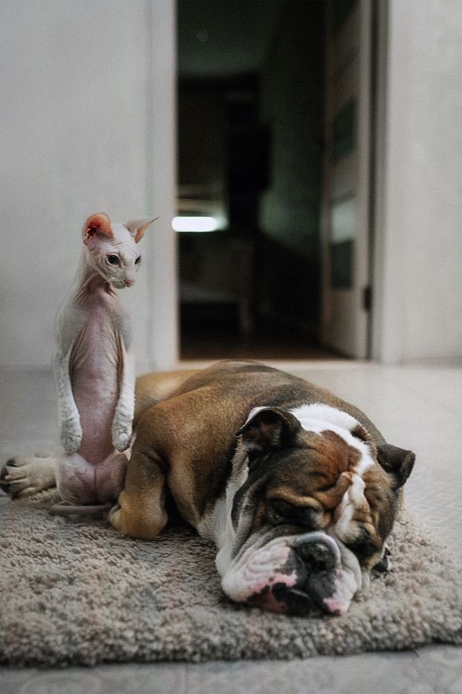 Photograph by Артём Кошелев