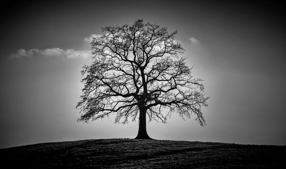 Photograph by Boris Bekelman