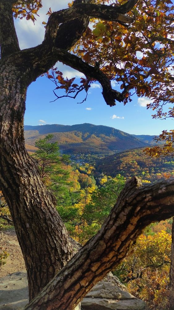 Photograph by Виктория Вялкова