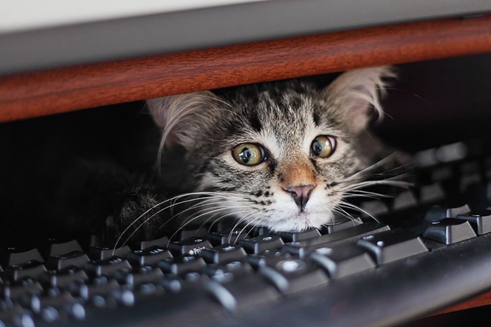 Photograph by Евгения