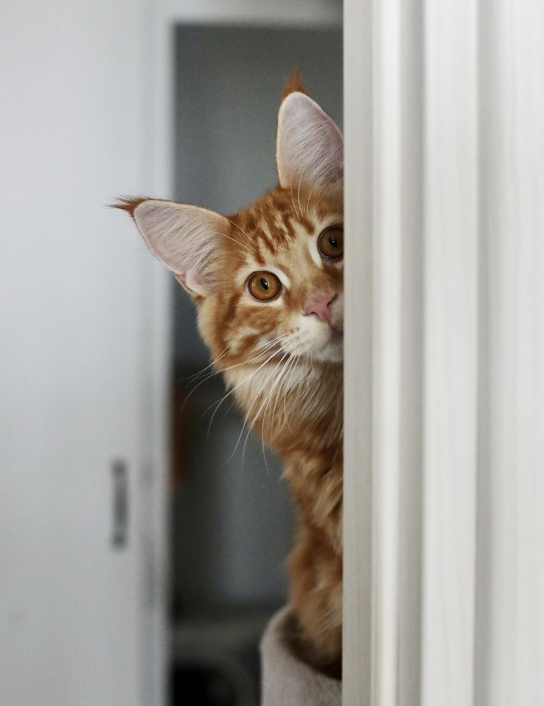 Photograph by Евгения