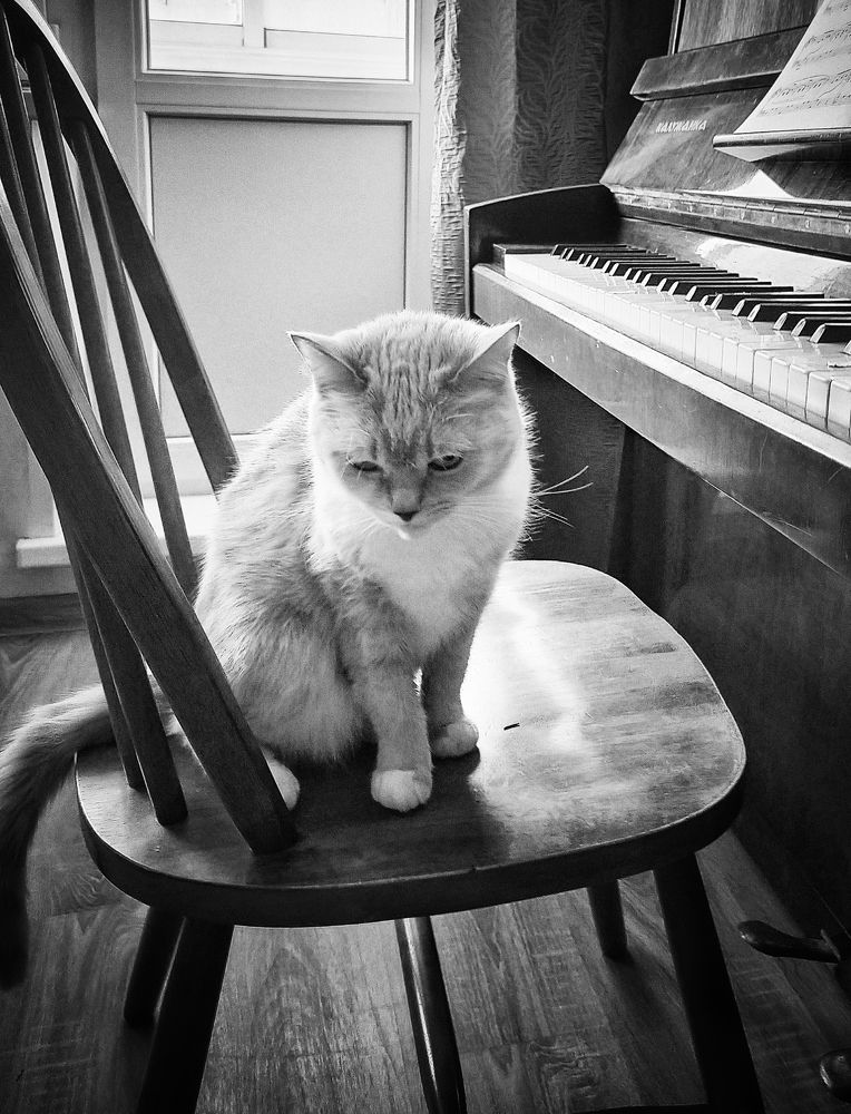 Photograph by Ольга Мартьянова