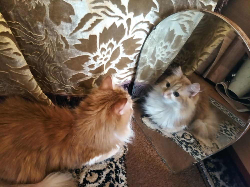 Photograph by Надежда Болтунова