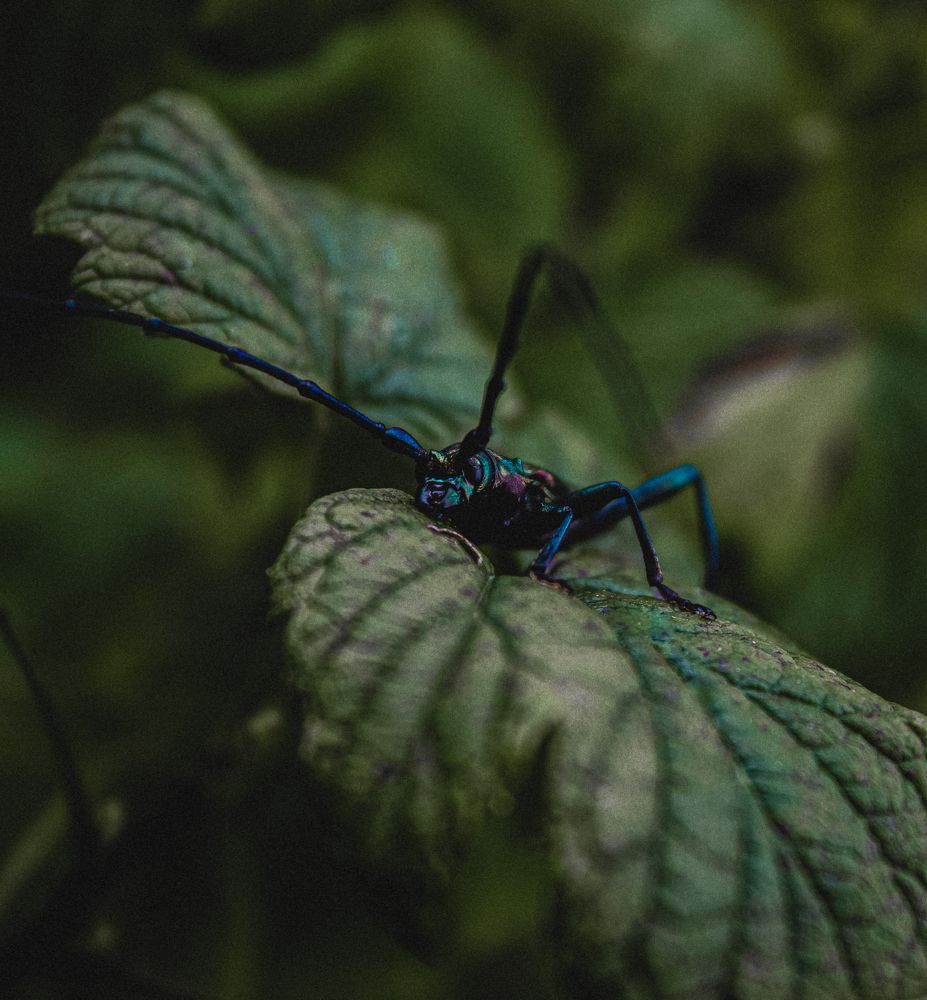 Photograph by Диана Козел