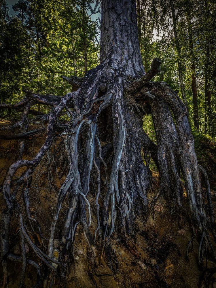 Фотография автора Владислав Храмцов