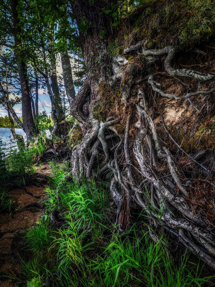Фотография автора Владислав Храмцов