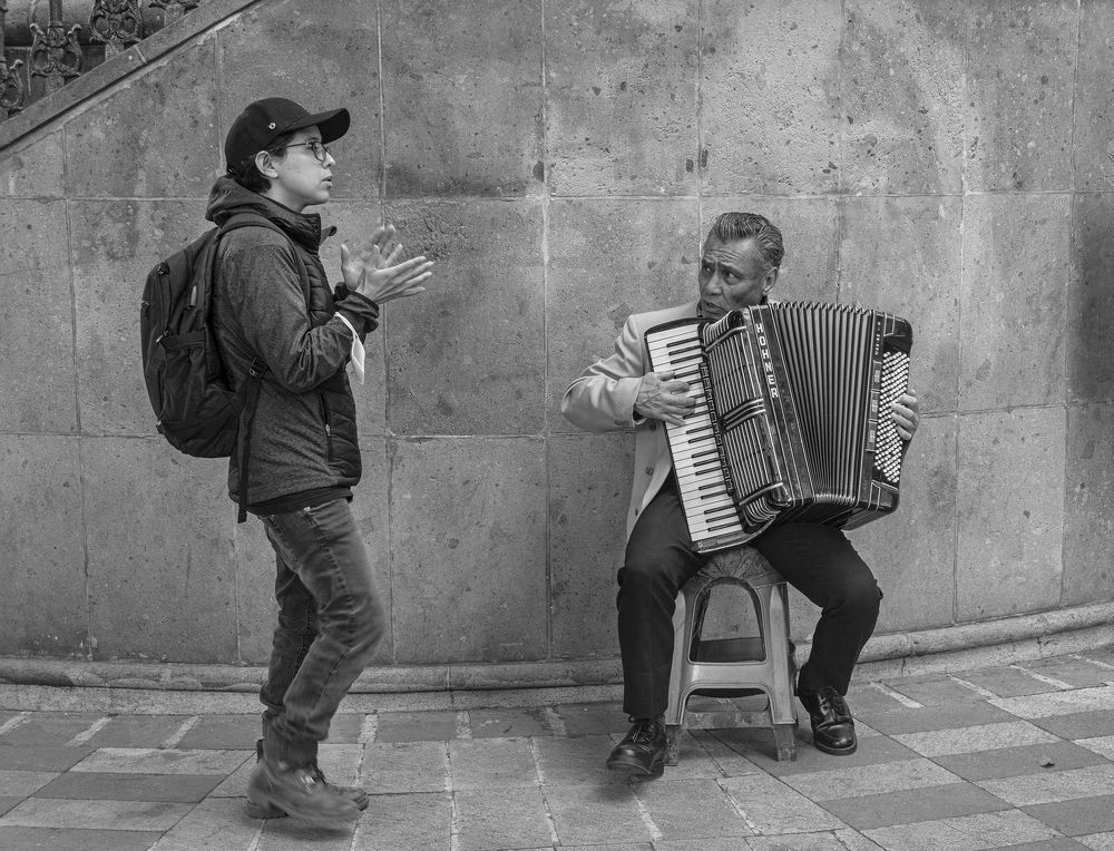 the accordionist