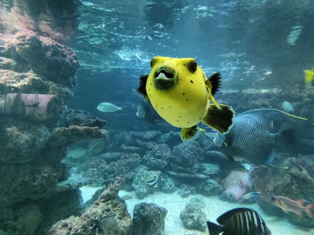 Photograph by Войцеховская елена