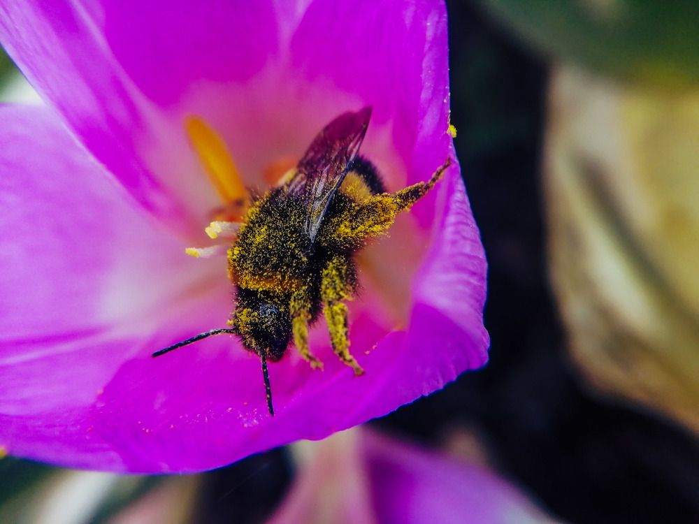 Photograph by Дарья