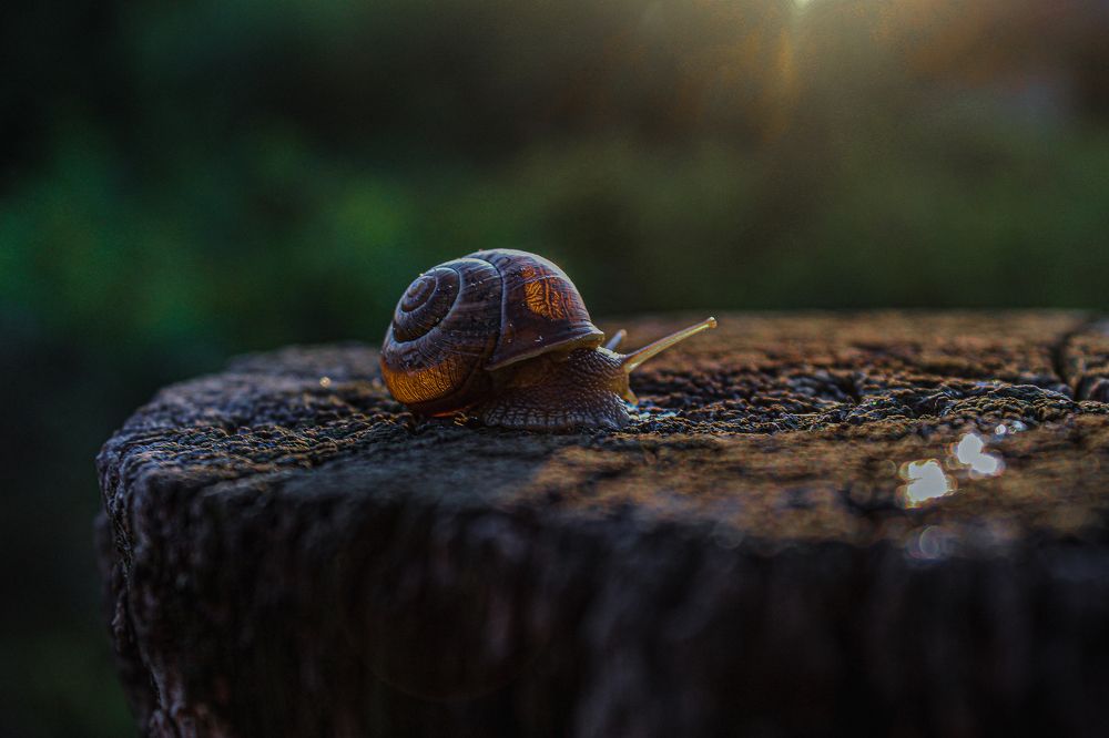 Photograph by Диана Козел