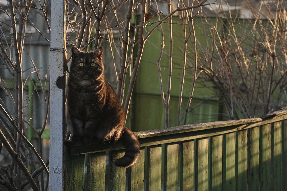 Photograph by Ирина