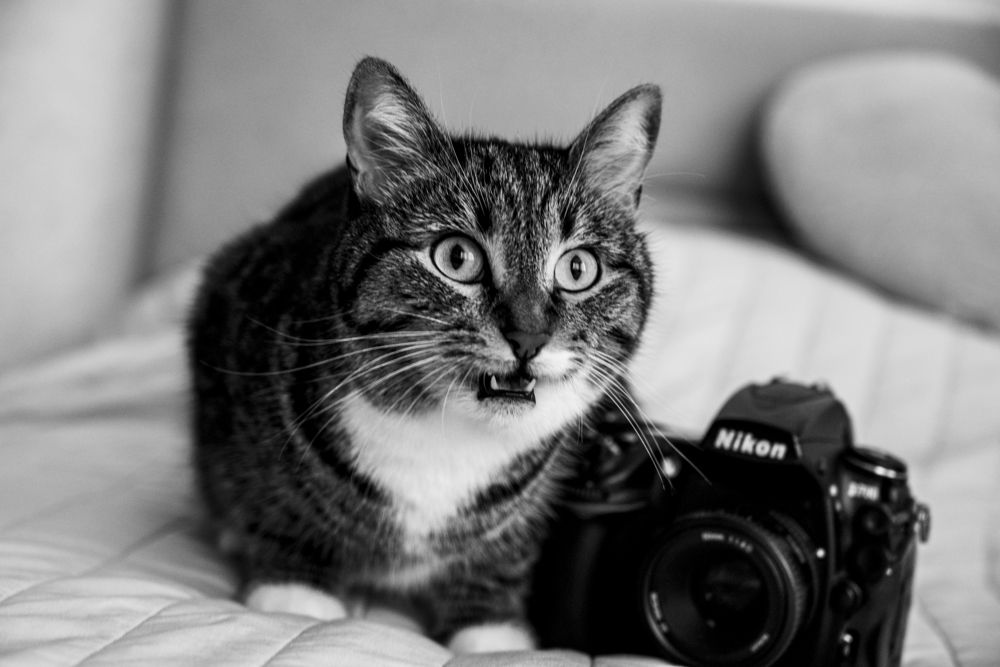 Photograph by Ирина