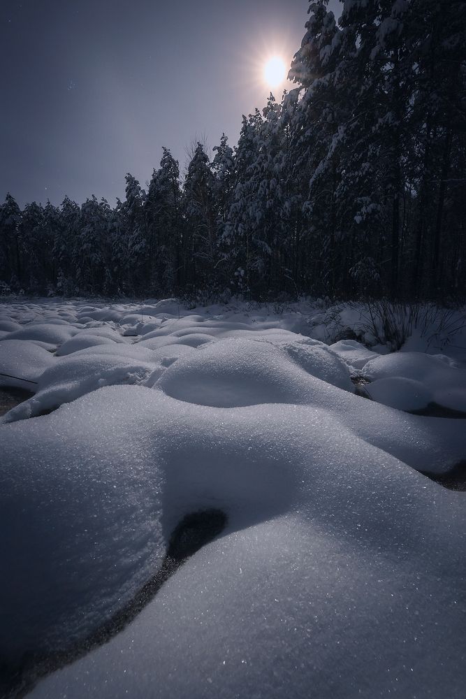 В лунную ночь