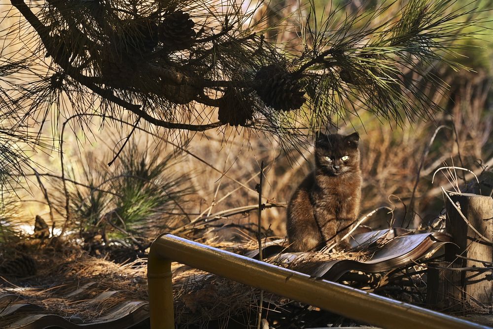 Photograph by Ирина