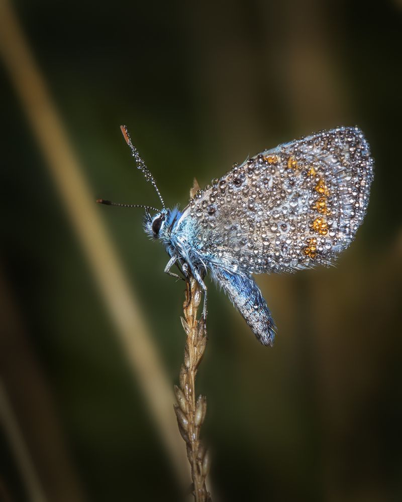 Photograph by Михаил