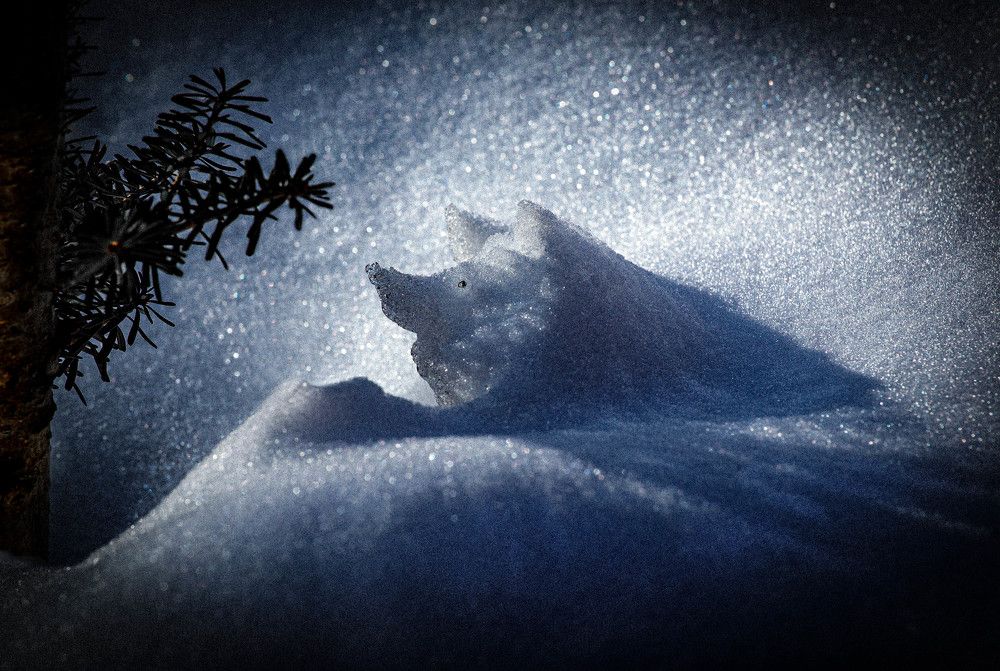 Фотография автора Черновол Валентин