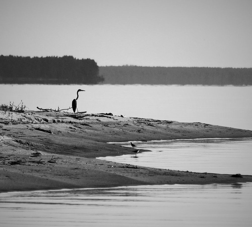 Photograph by Наталья Болотенков