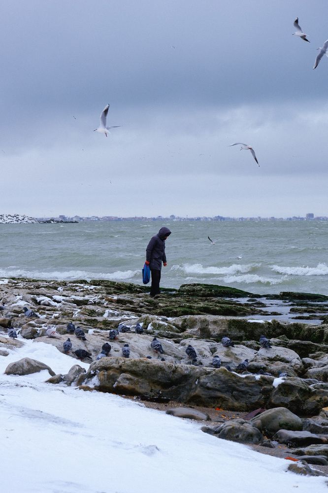 Photograph by Светлана Суворова