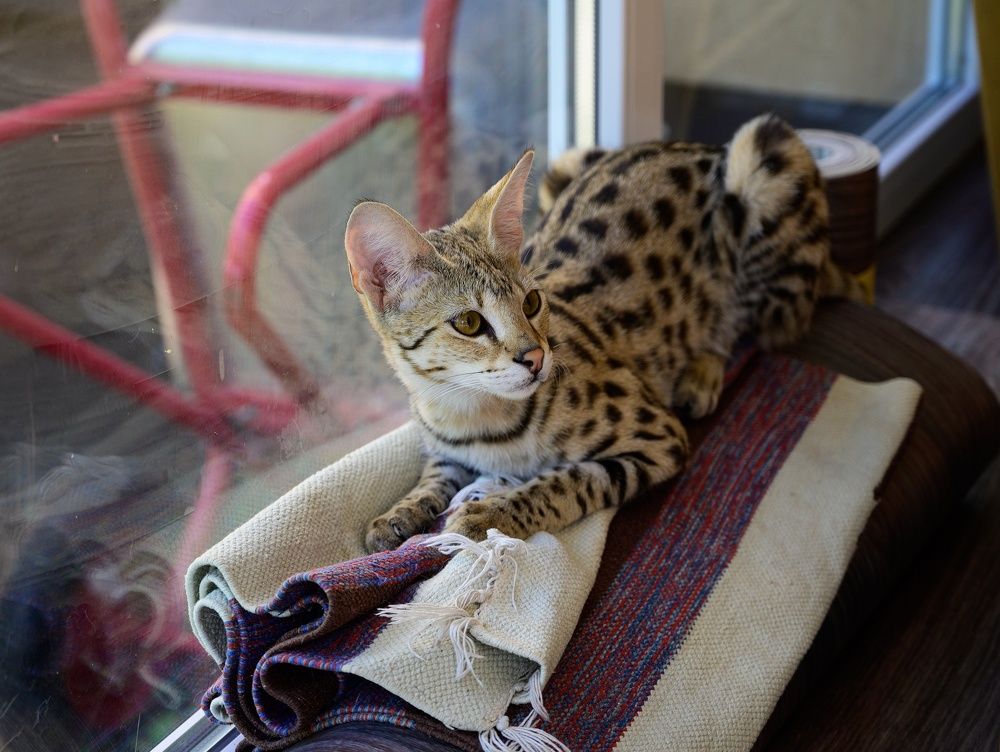 Фотография автора Валерий Лушин