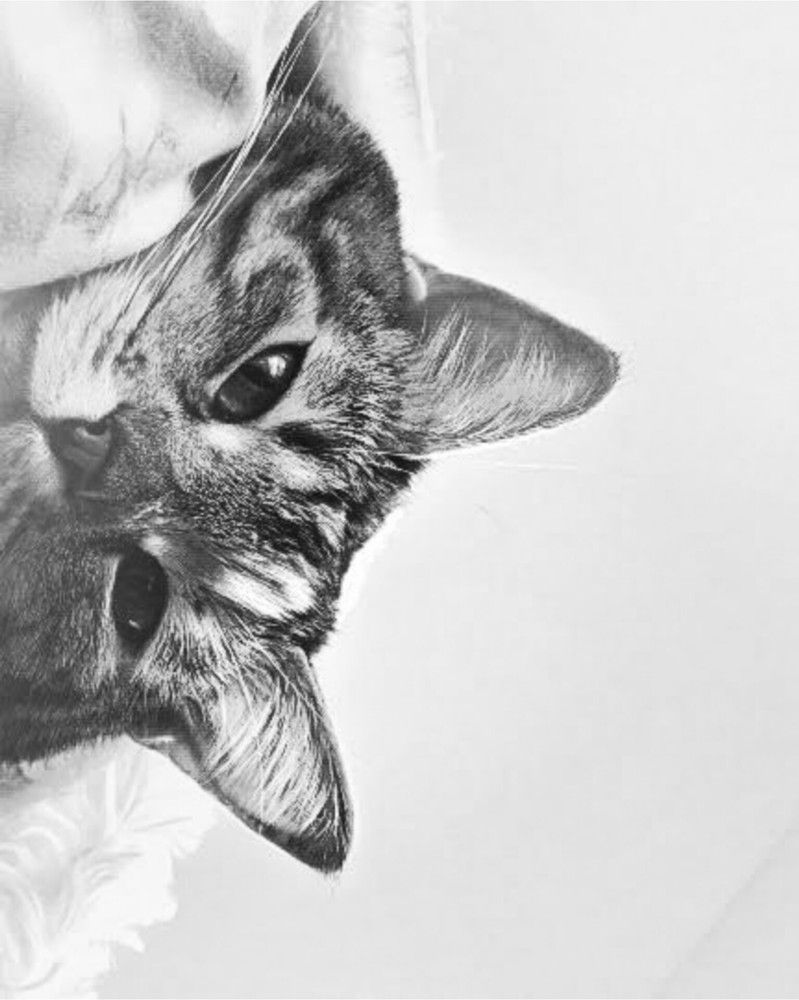 Photograph by Дарья Макаревич