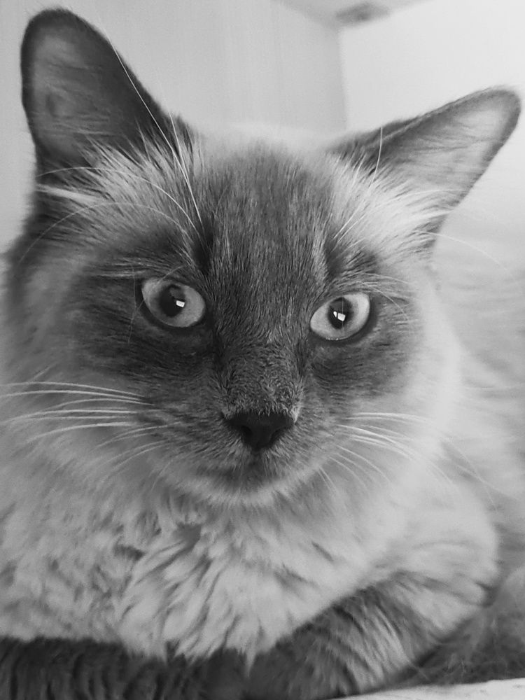 Photograph by Yulia Bilato