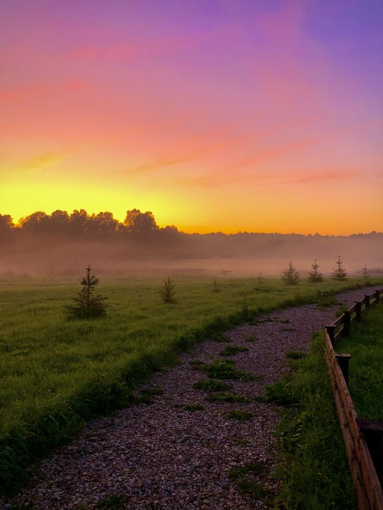 Photograph by Светлана Богомолова