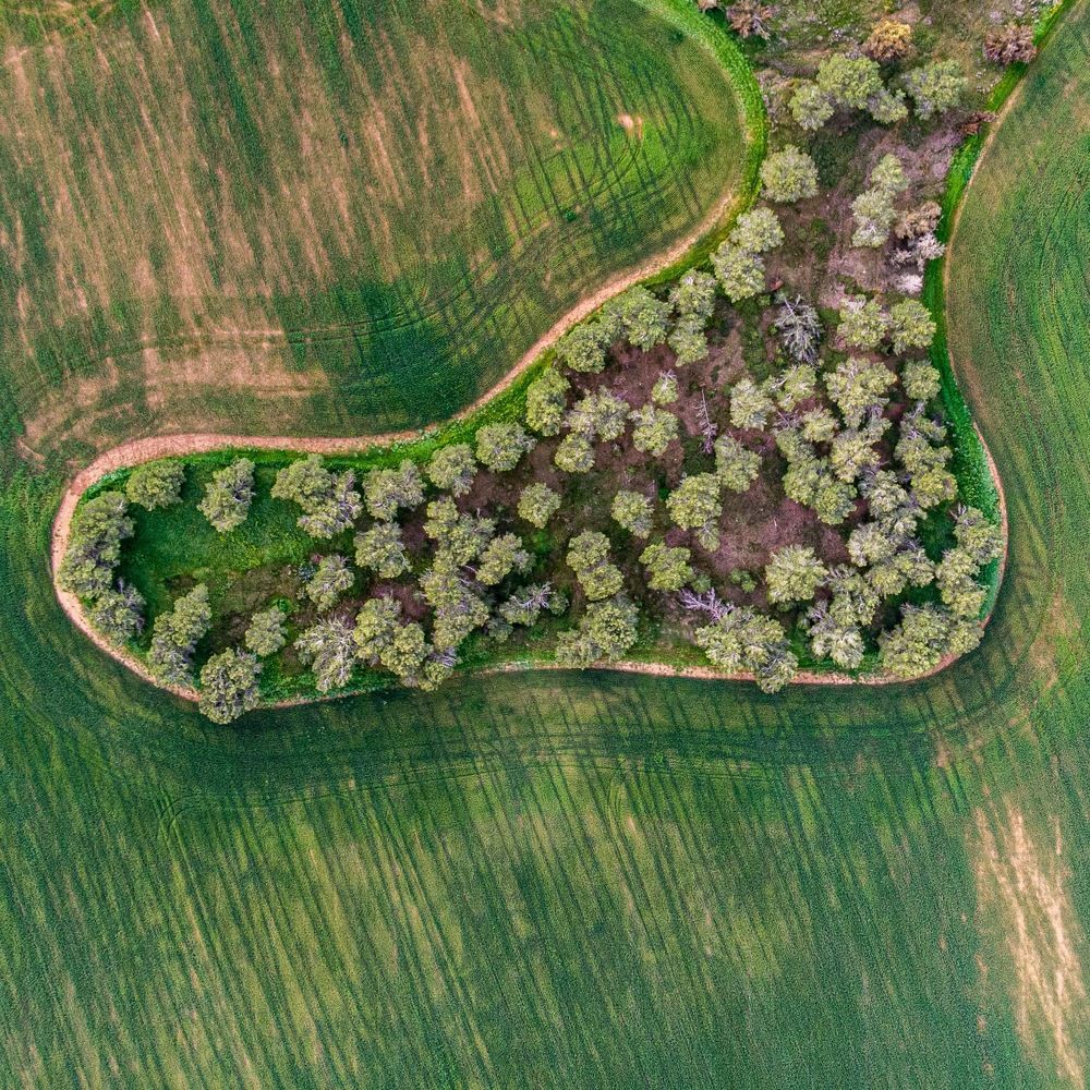 Please do not step on the grass