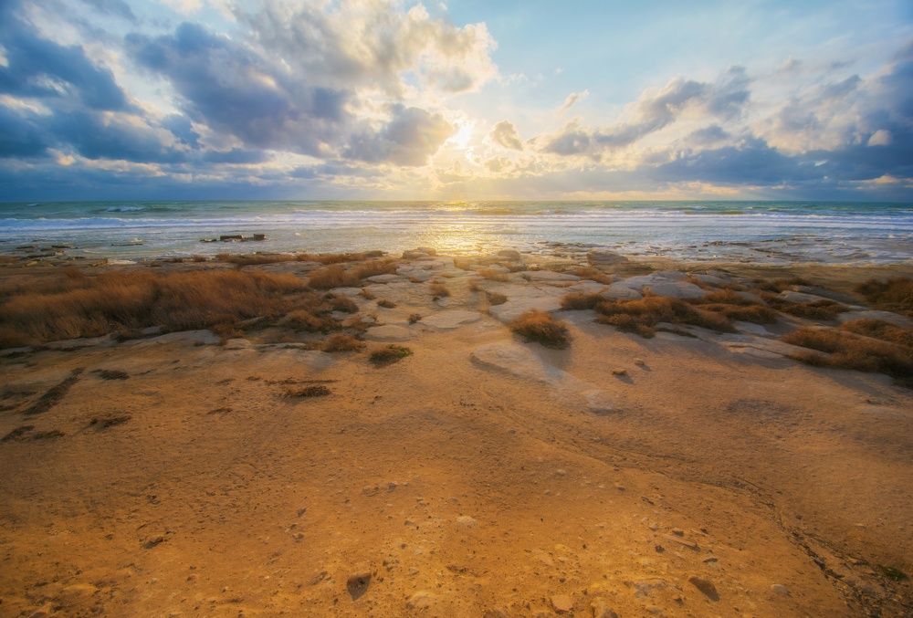 Фотография автора Андрей Врубель