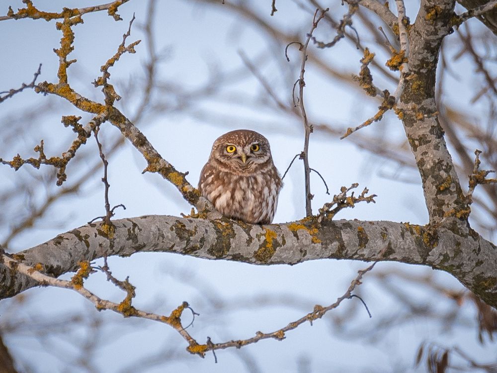 Photograph by Рамзан Давлетмирзаев
