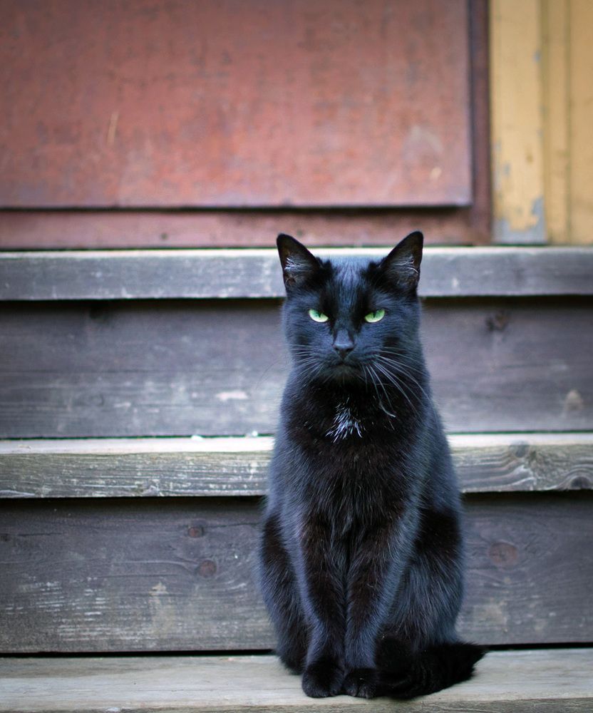 Photograph by Мария Бутягина