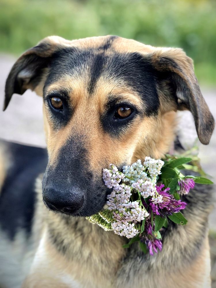 Photograph by Светлана Богомолова