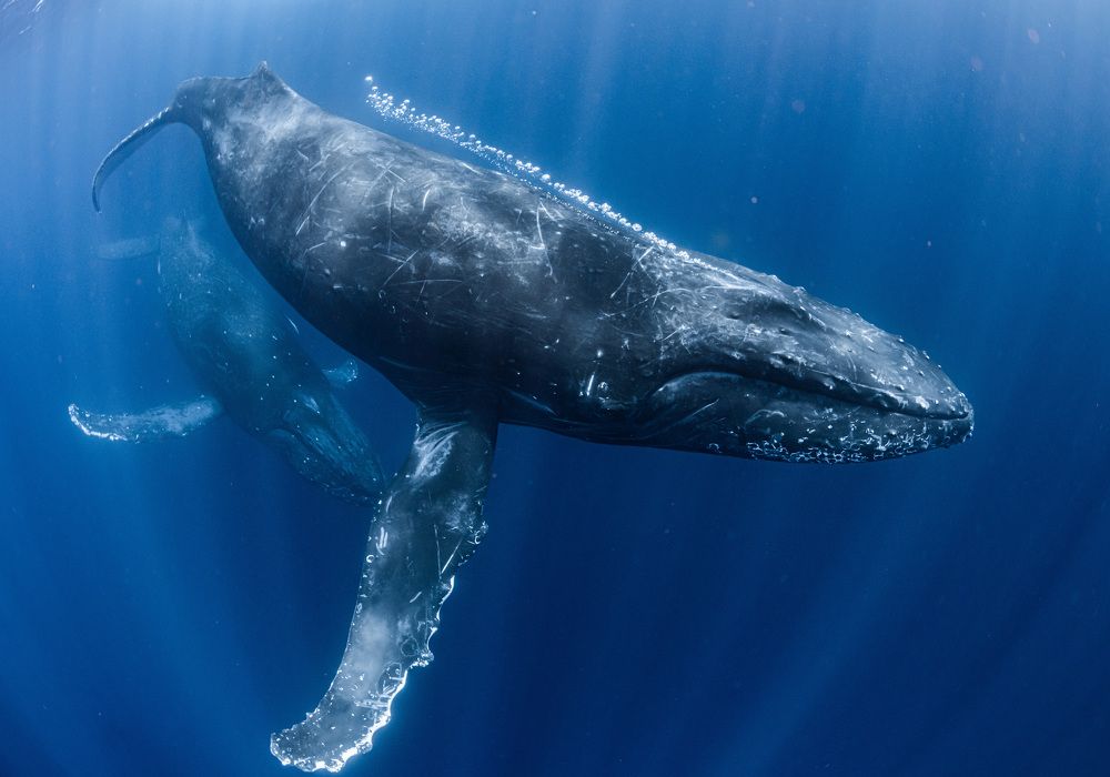 Photograph by KURASHIMA DAISUKE