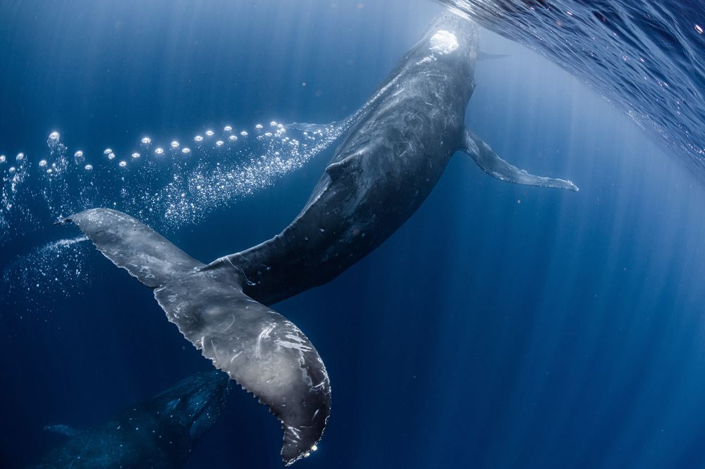 Photograph by KURASHIMA DAISUKE