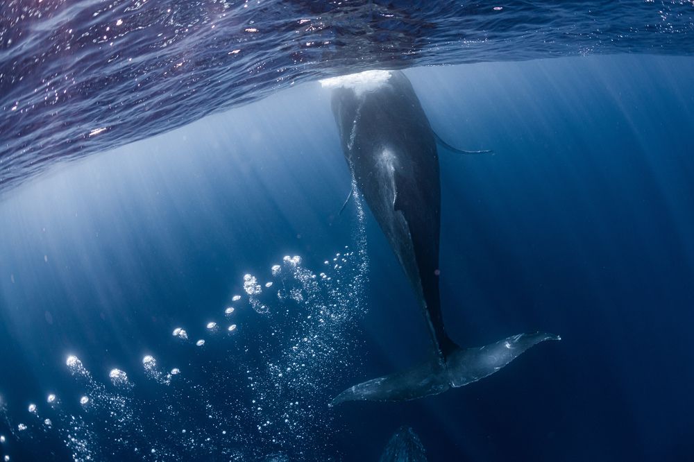 Photograph by KURASHIMA DAISUKE