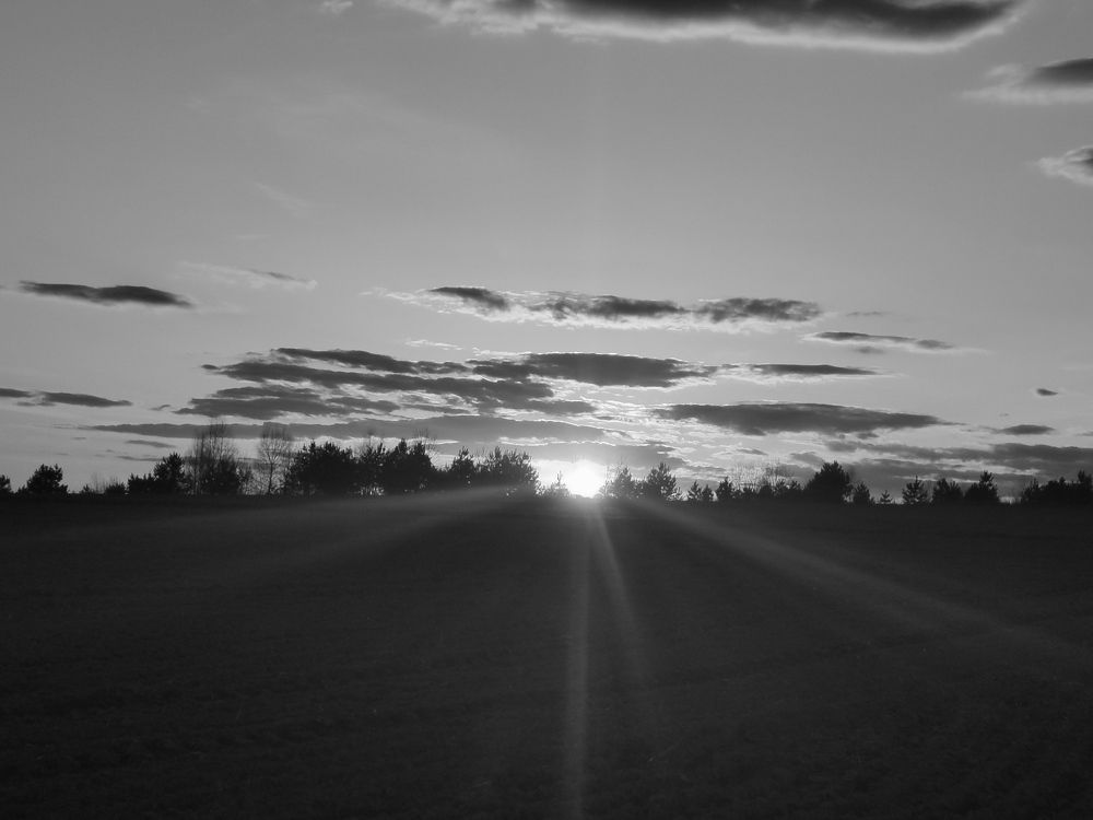 Photograph by Рутковская Жанна