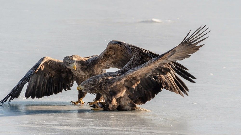 Photograph by константин