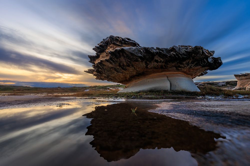 Фотография автора jason lu