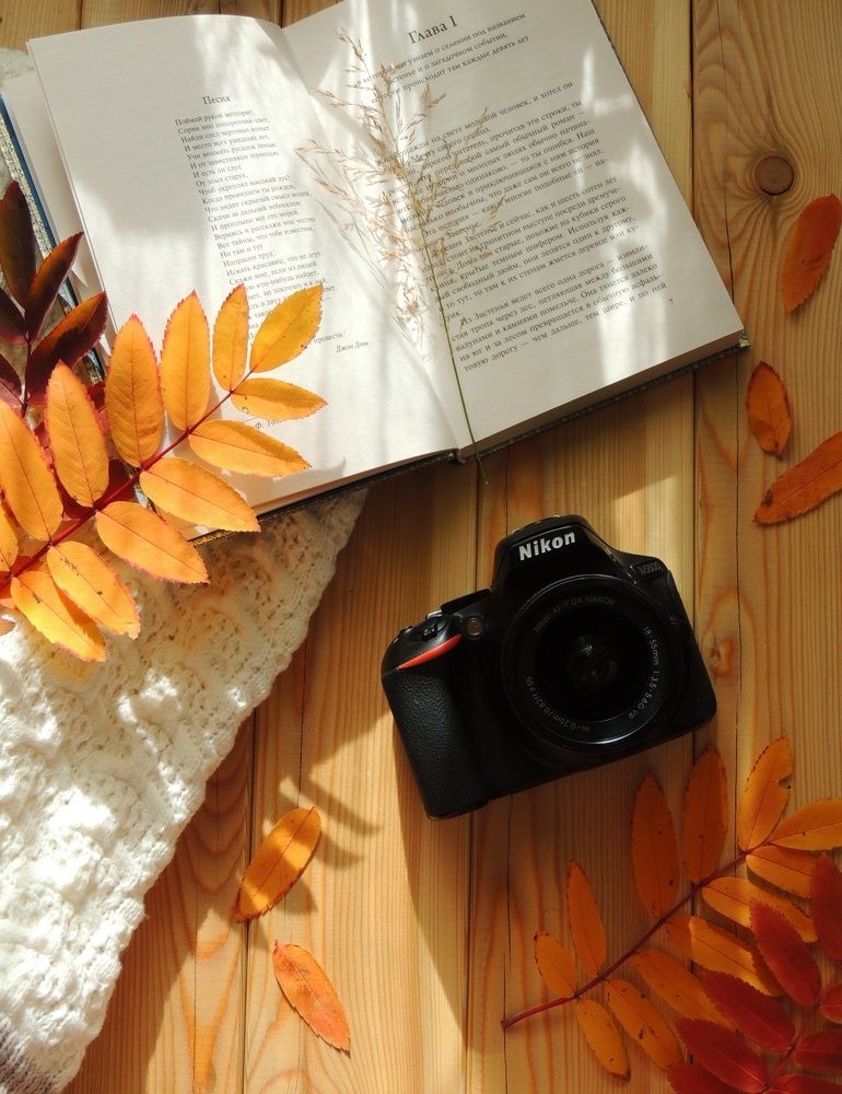 Photograph by Фирсова Наталья