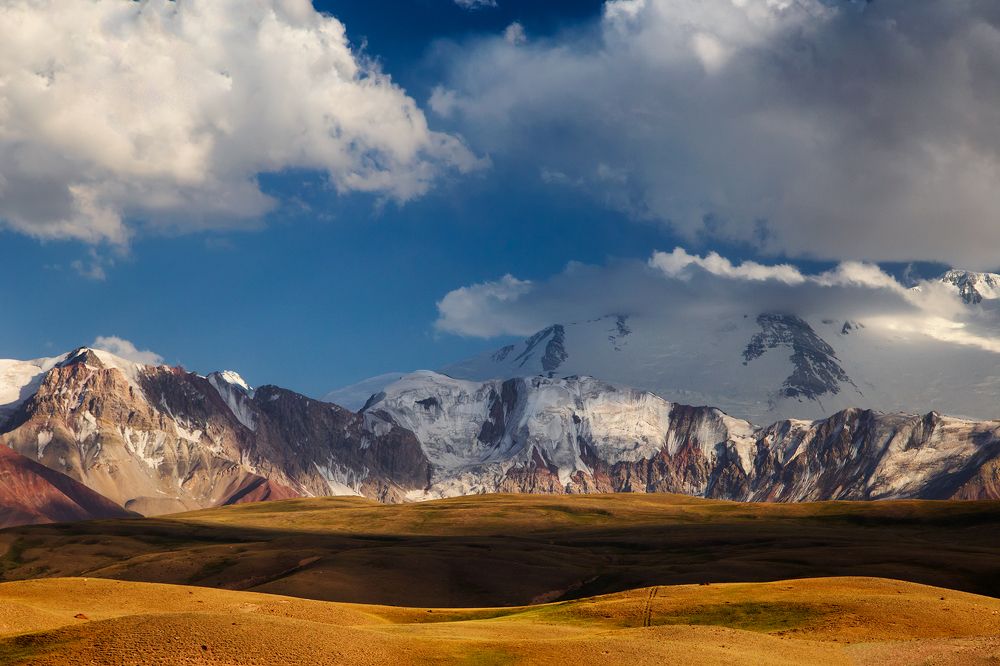 Памирский мед