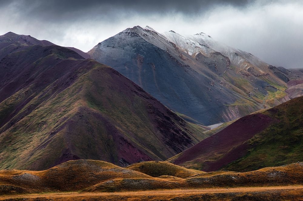 Мокрым днем