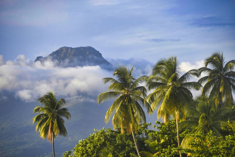 Photograph by francis Velayoudon