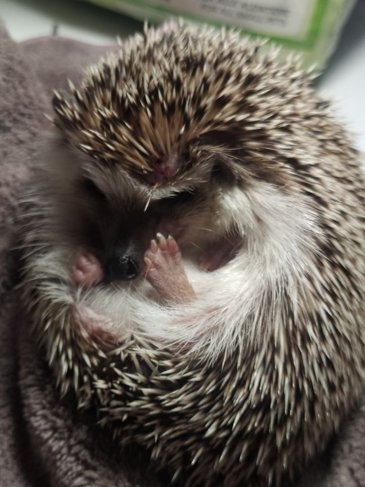 Photograph by Елена Прыткова