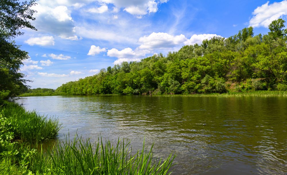 Photograph by Сергей Горбунов