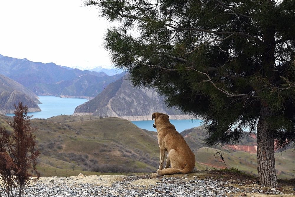 Photograph by Рустам Юлдашев