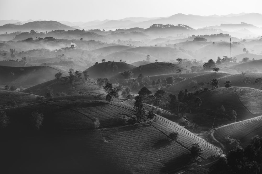 Photograph by Nguyen Ngoc Tuan